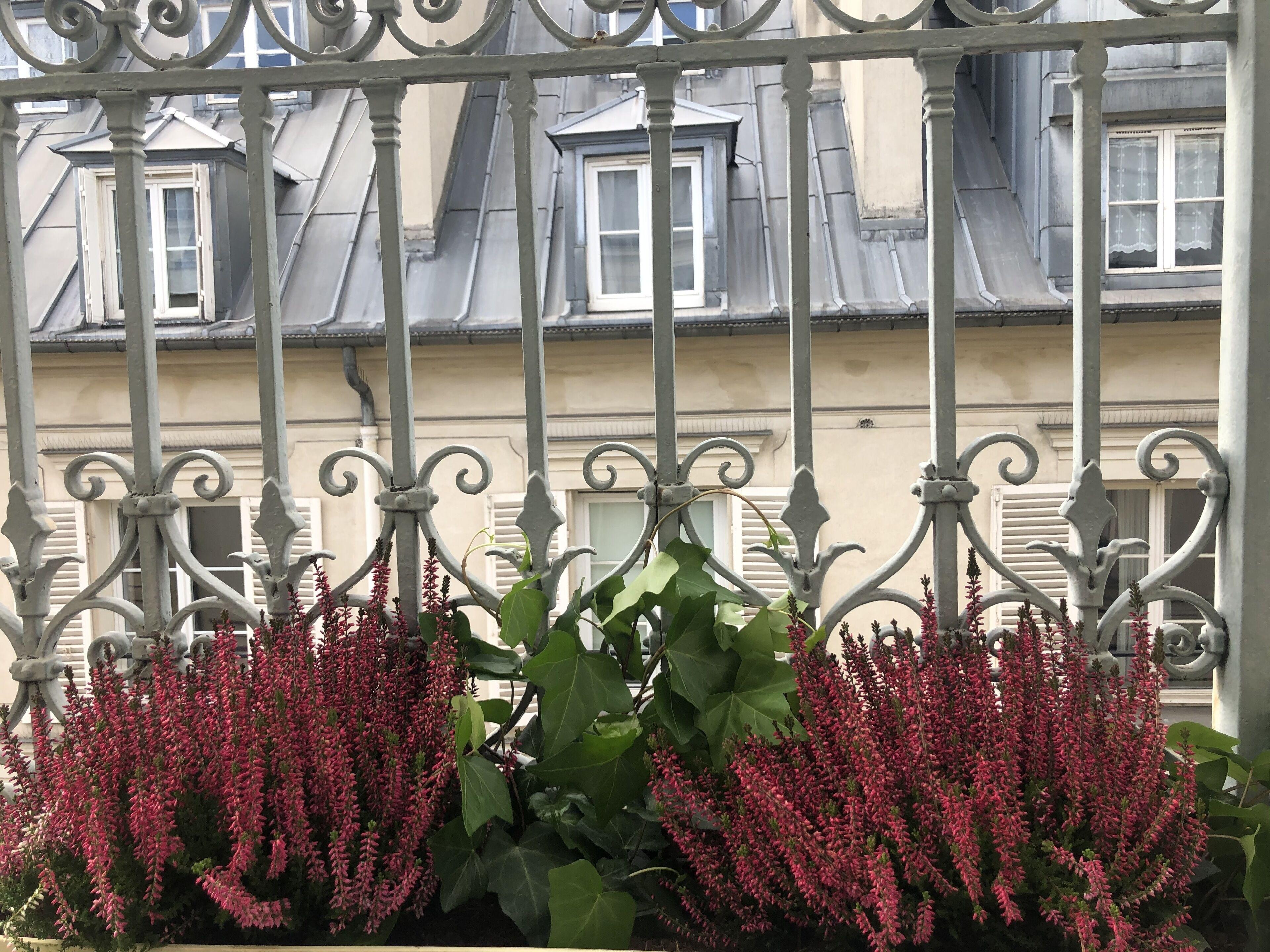 -rodier- Hotel 3*
